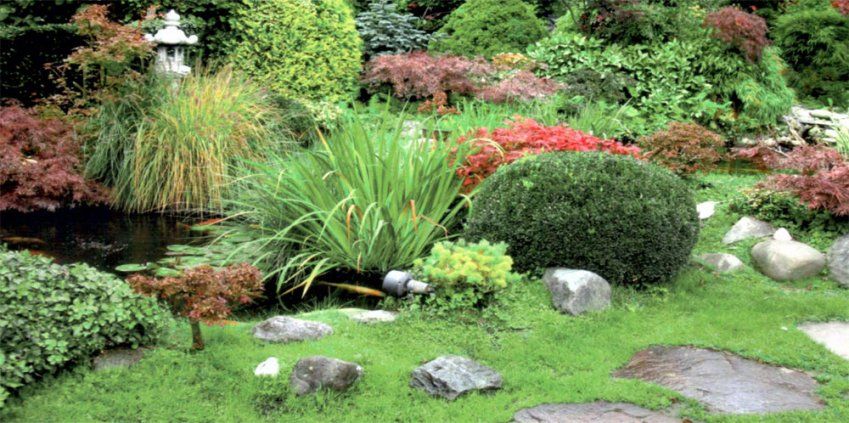 Jardineros en Fuenlabrada | Viveros Roncero Jardineros en Fuenlabrada | Viveros Roncero